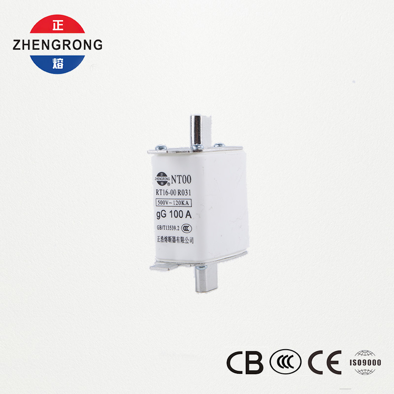 Fusible NT00 100A à capacité de coupure élevée - Lien de fusible gG en céramique 500V 120kA