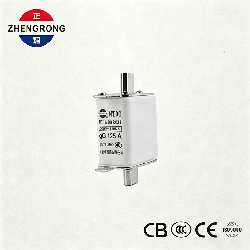 Fusible NT00 125A à capacité de coupure élevée - Lien de fusible gG en céramique 500V 120kA