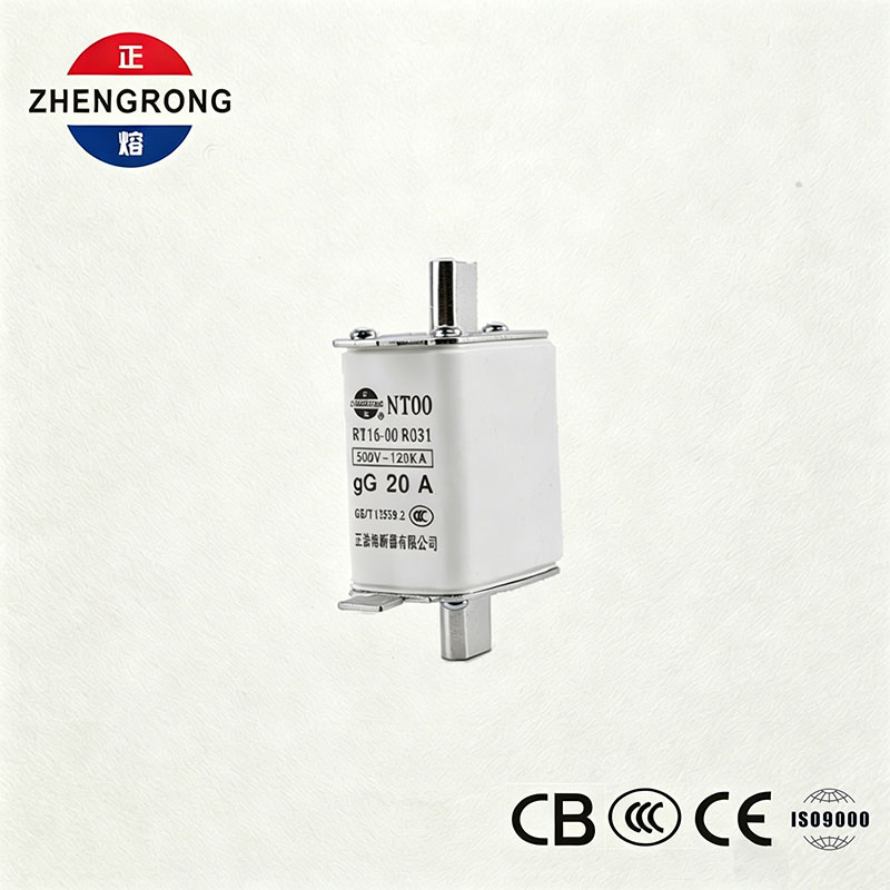 Fusible NT00 20A à capacité de coupure élevée - Lien de fusible gG en céramique 500V 120kA