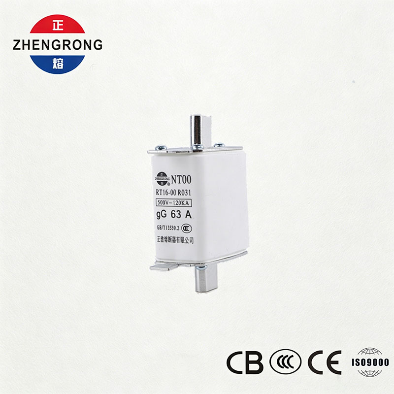 Fusible NT00 63A à capacité de coupure élevée - Lien de fusible gG en céramique 500V 120kA
