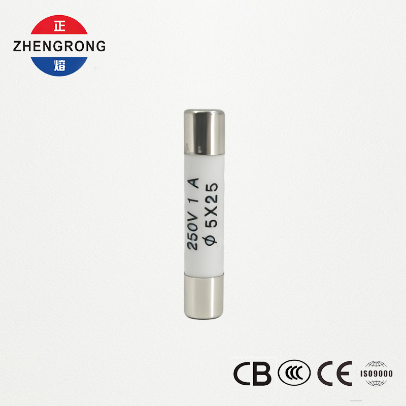 Fusibles R055 1A 5x25 mm de haute qualité pour les acheteurs en gros
