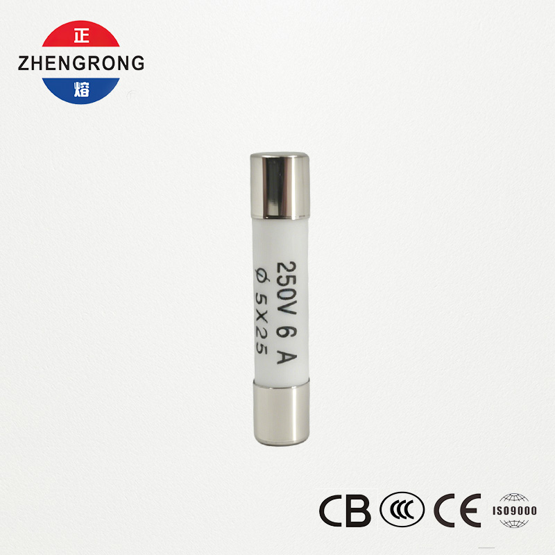 Fusibles R055 6A 5x25 mm de haute qualité pour les acheteurs en gros