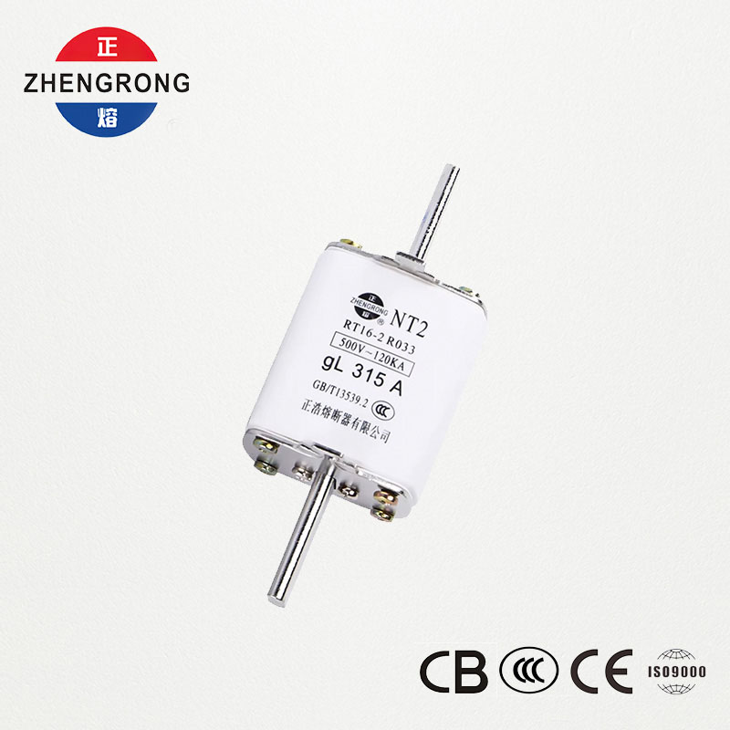 Lien fusible NT2 315A | Fusible en céramique RT16-2 500 V gL