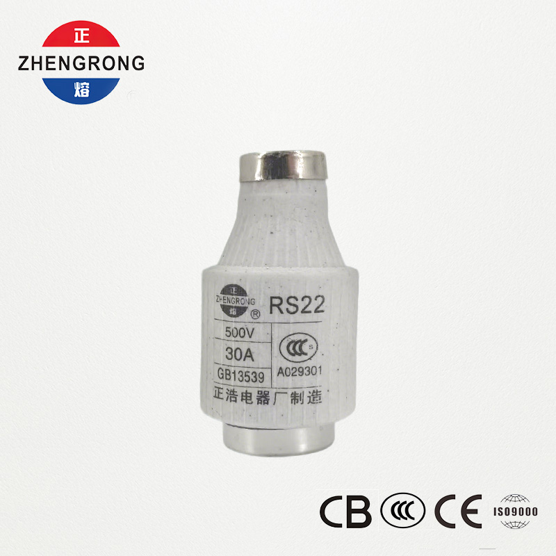 Fusible à vis RS22 30 A 500 V à action rapide | Protection des semi-conducteurs